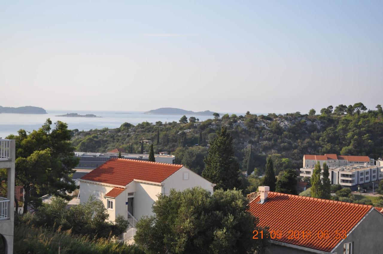 Zupa Dubrovacka Guest House Mlini Extérieur photo